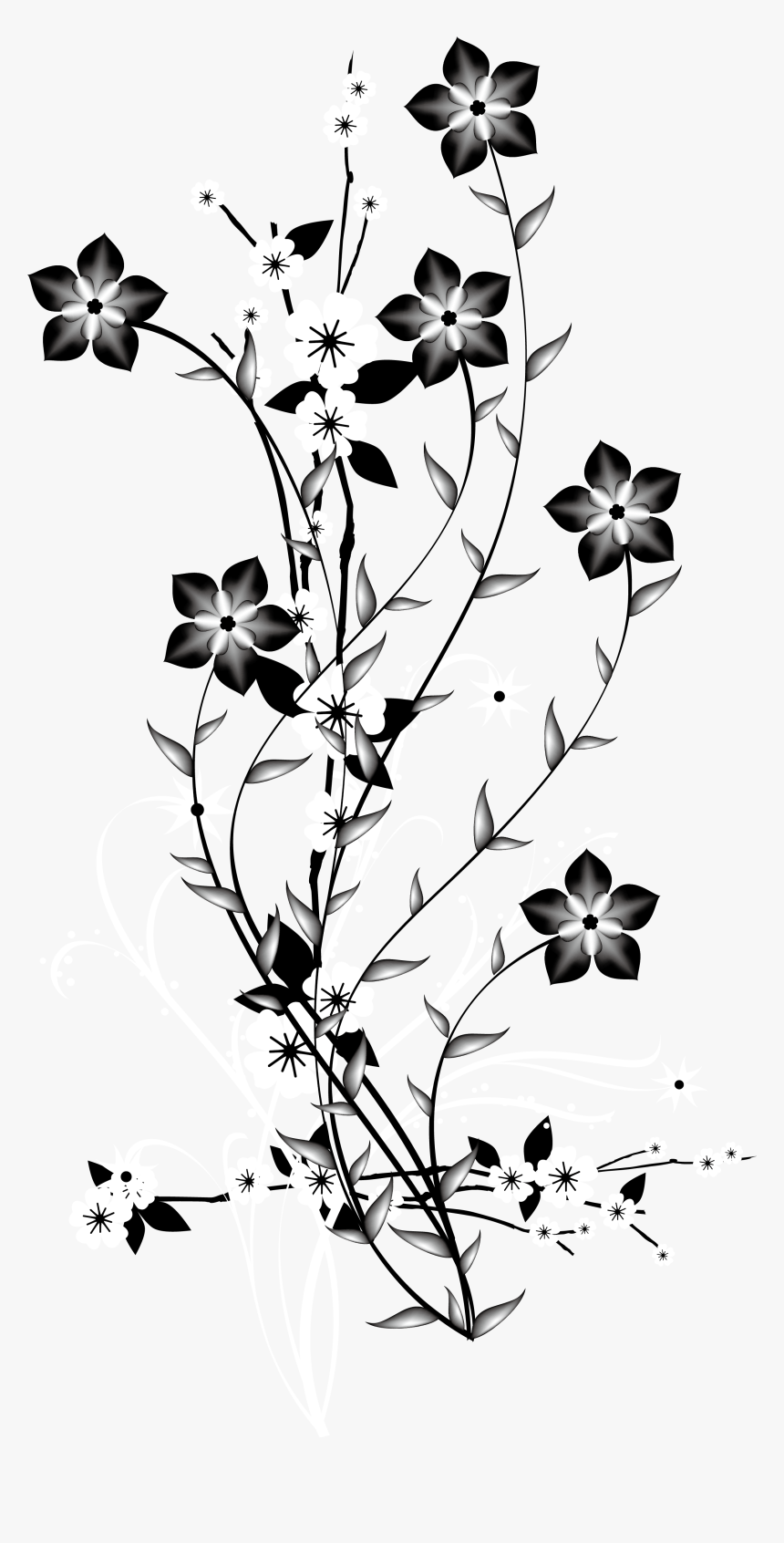 Flower Black And White Png, Transparent Png