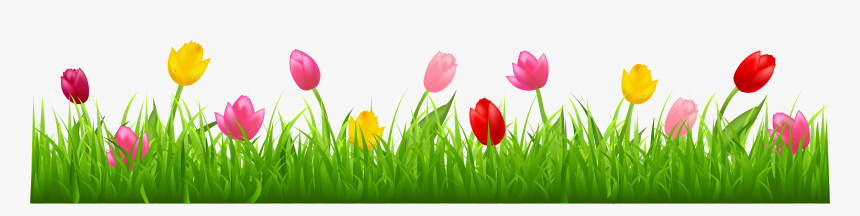 Grass Clipart Spring Grass - Tulips Clip Art, HD Png Download