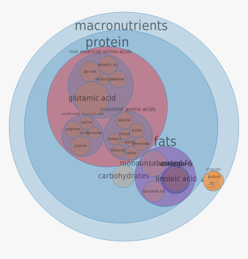 Circle, HD Png Download