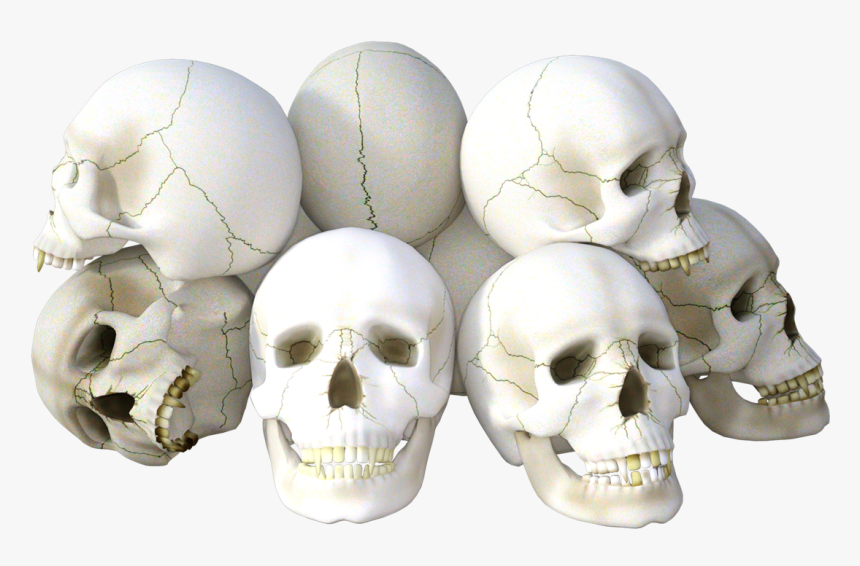 Skull Png Background Clipart - Transparent Transparent Background Skulls, Png Download