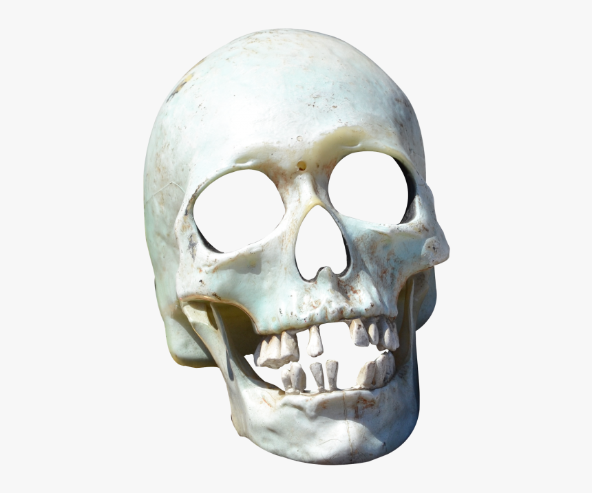 Transparent Skull Png, Png Download