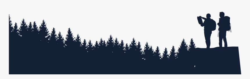 Shortleaf Black Spruce, HD Png Download