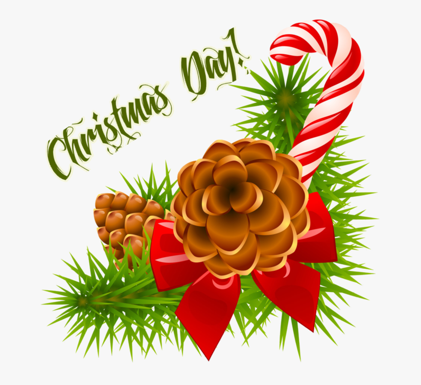 Christmas Day Decoration Png Transparent - Clip Art Christmas Pine Cone, Png Download