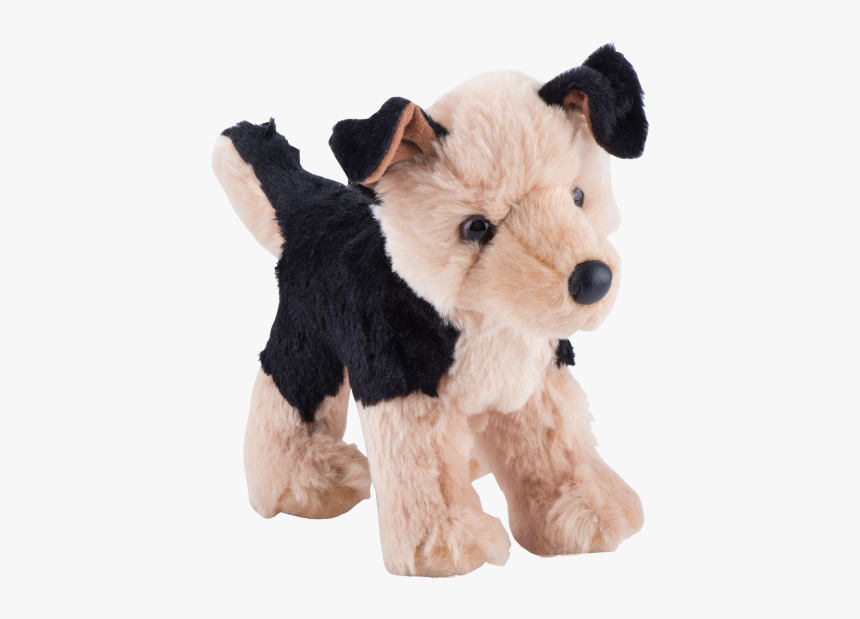 Wire Hair Fox Terrier, HD Png Download