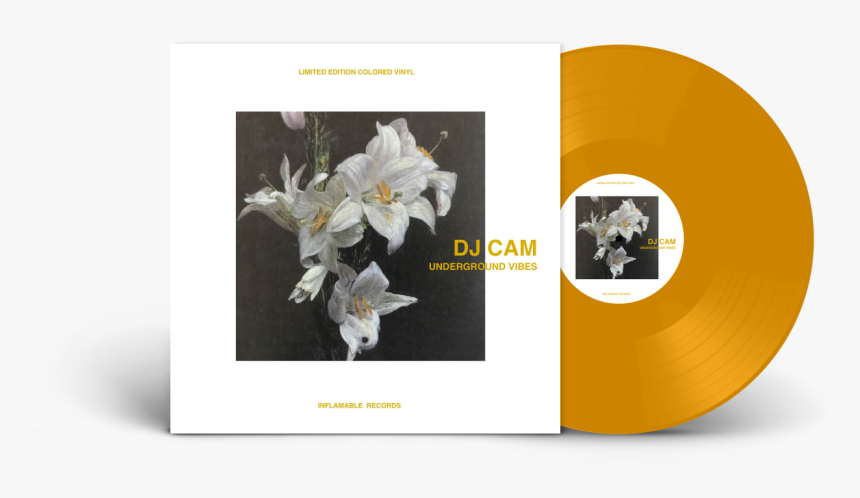 Mon Image - Christmas Orchid, HD Png Download