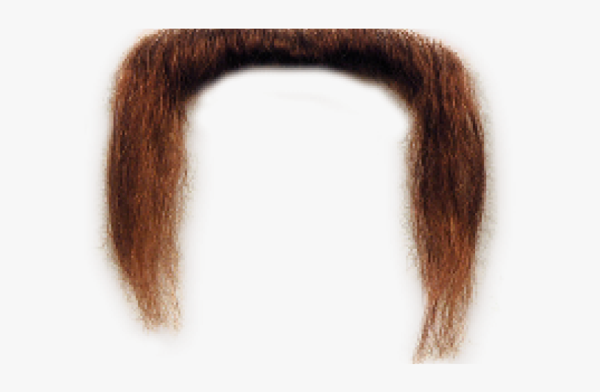 Moustache Png Transparent Images - Lace Wig, Png Download