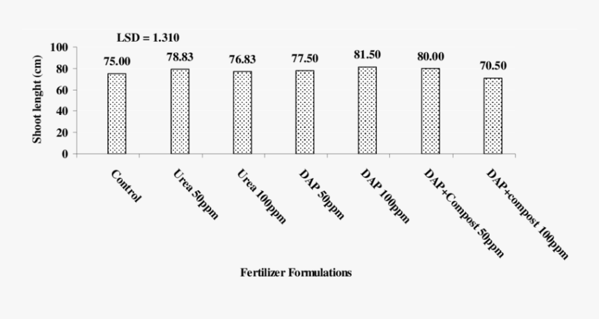 Calligraphy, HD Png Download