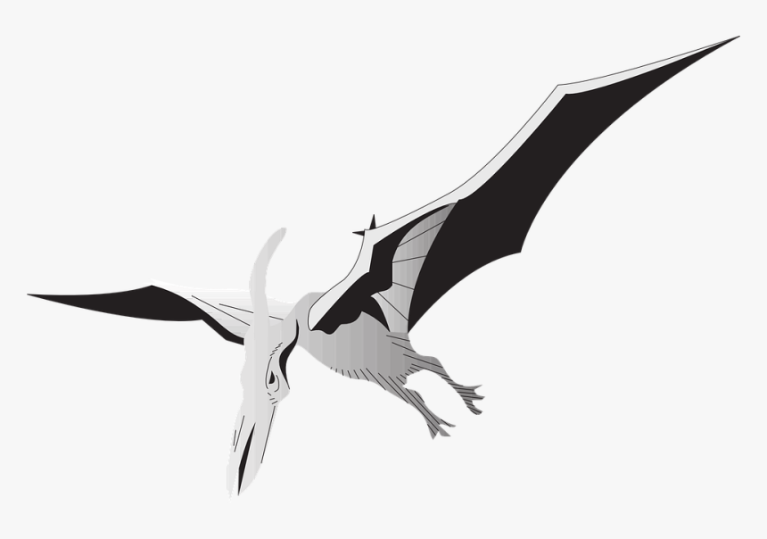 Bird, Silver, Wings, Dinosaur, Ancient, Pterodactyl - Pterodactyl Gif Png, Transparent Png