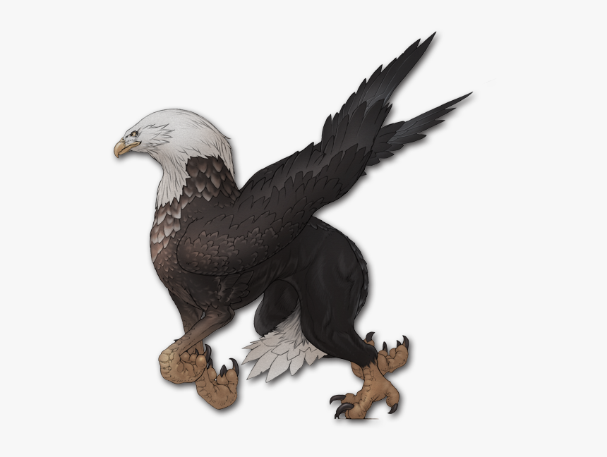 Terra Battle Wiki - Buzzard, HD Png Download