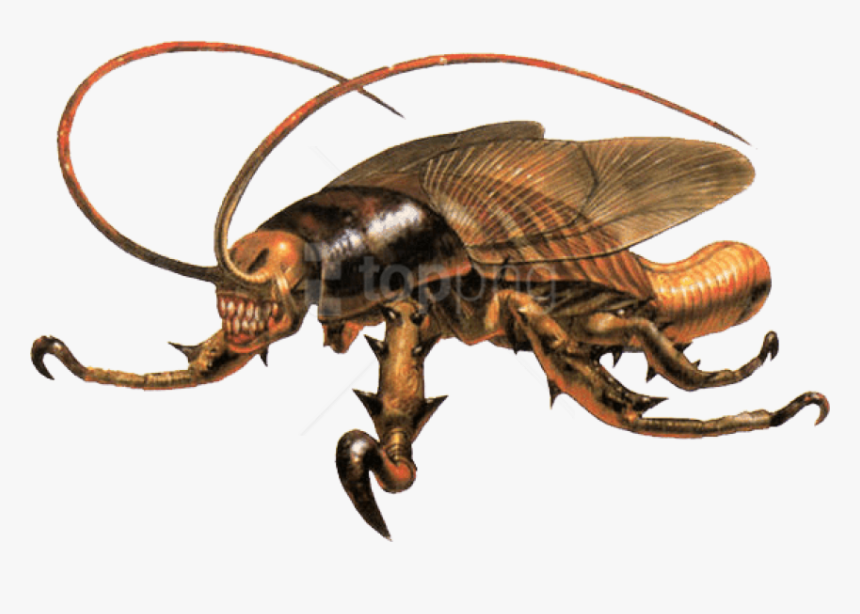Download Cockroach Eve Png - Parasite Eve Cockroach, Transparent Png