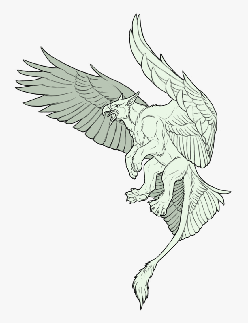 Commission - Gryphon Drawing - Gryphon Sketch, HD Png Download