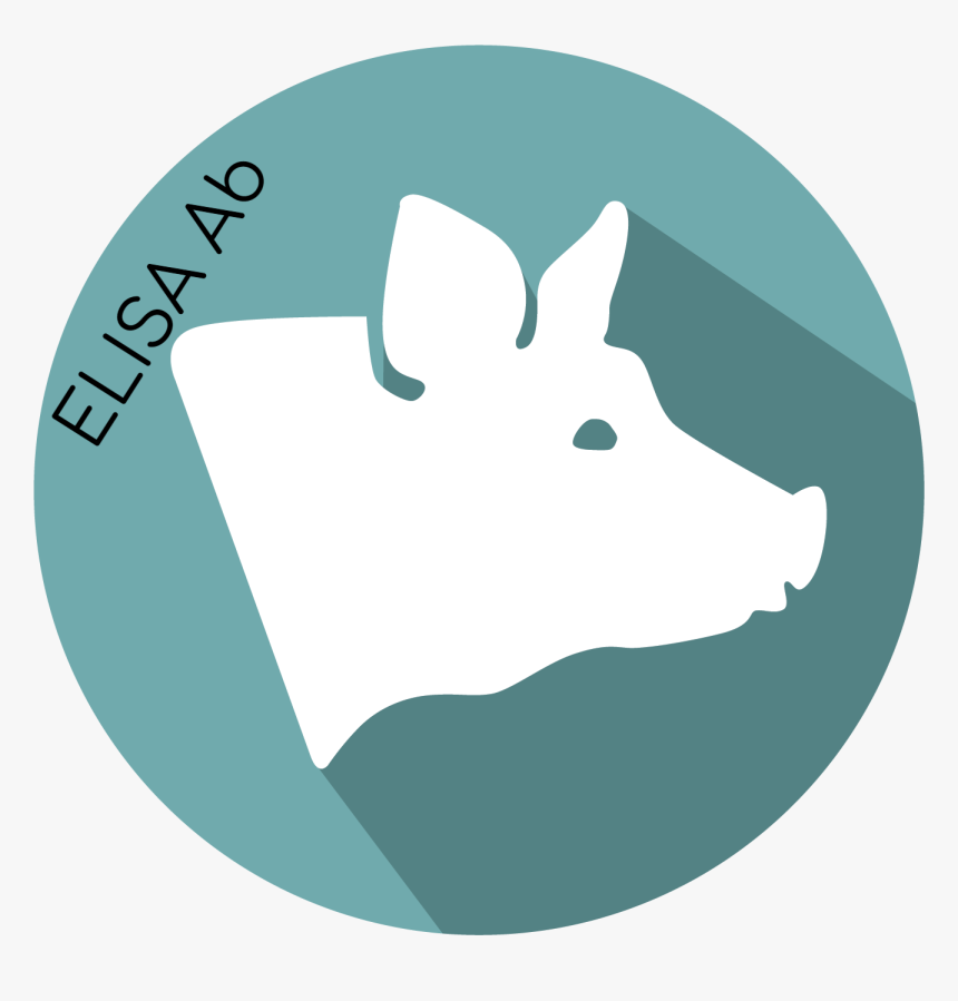 Illustration, HD Png Download