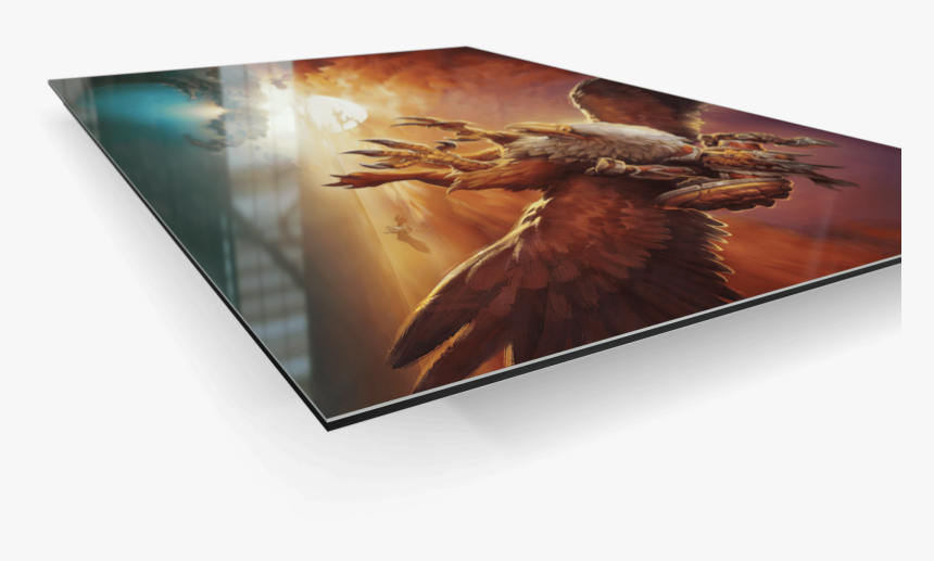 Hawk, HD Png Download