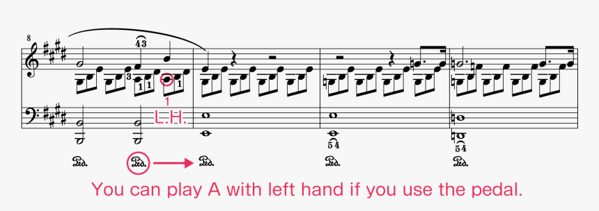 Sheet Music, HD Png Download