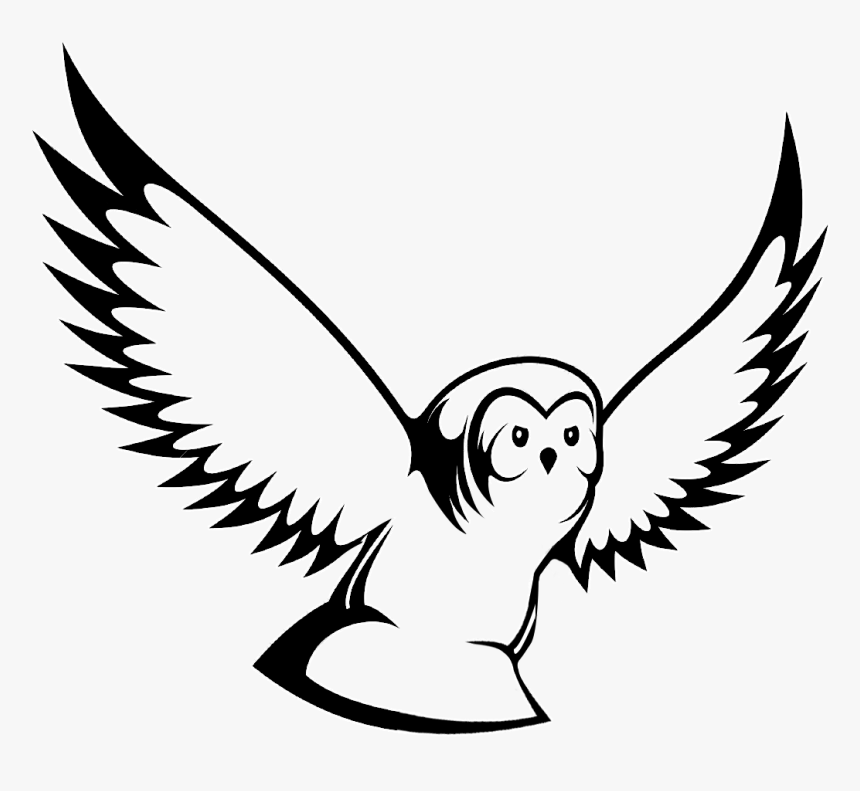 Flying Owl Vector, HD Png Download