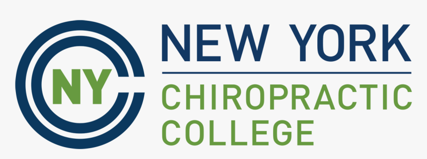 New York Foundation, HD Png Download