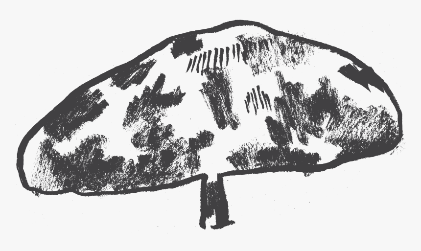 Tree Stump, HD Png Download