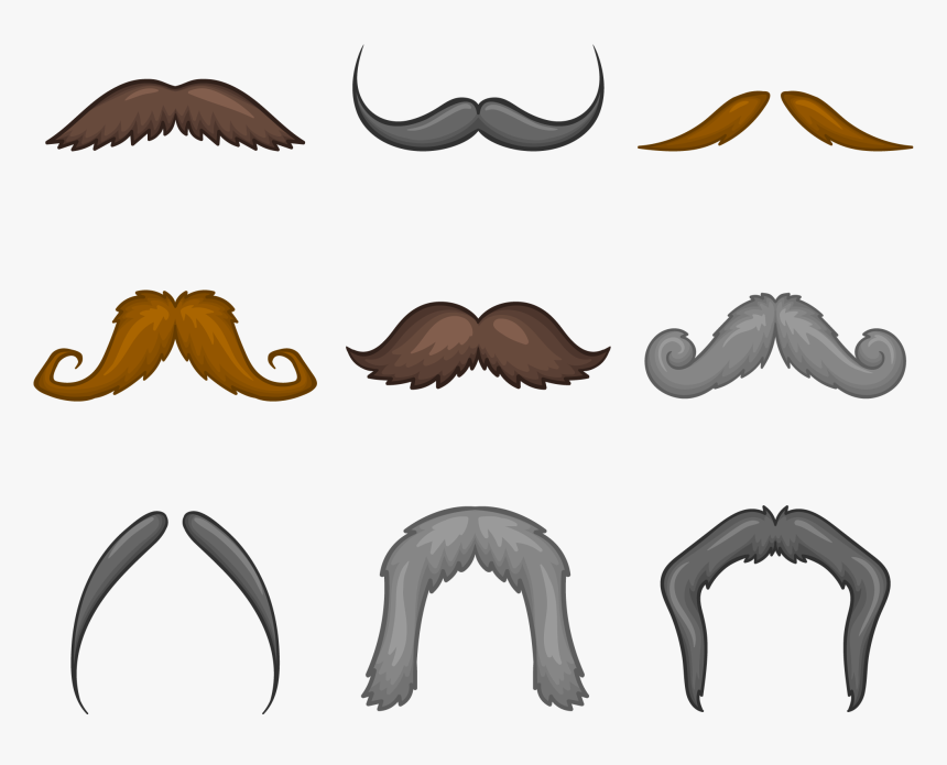 Beard Man - Beard, HD Png Download