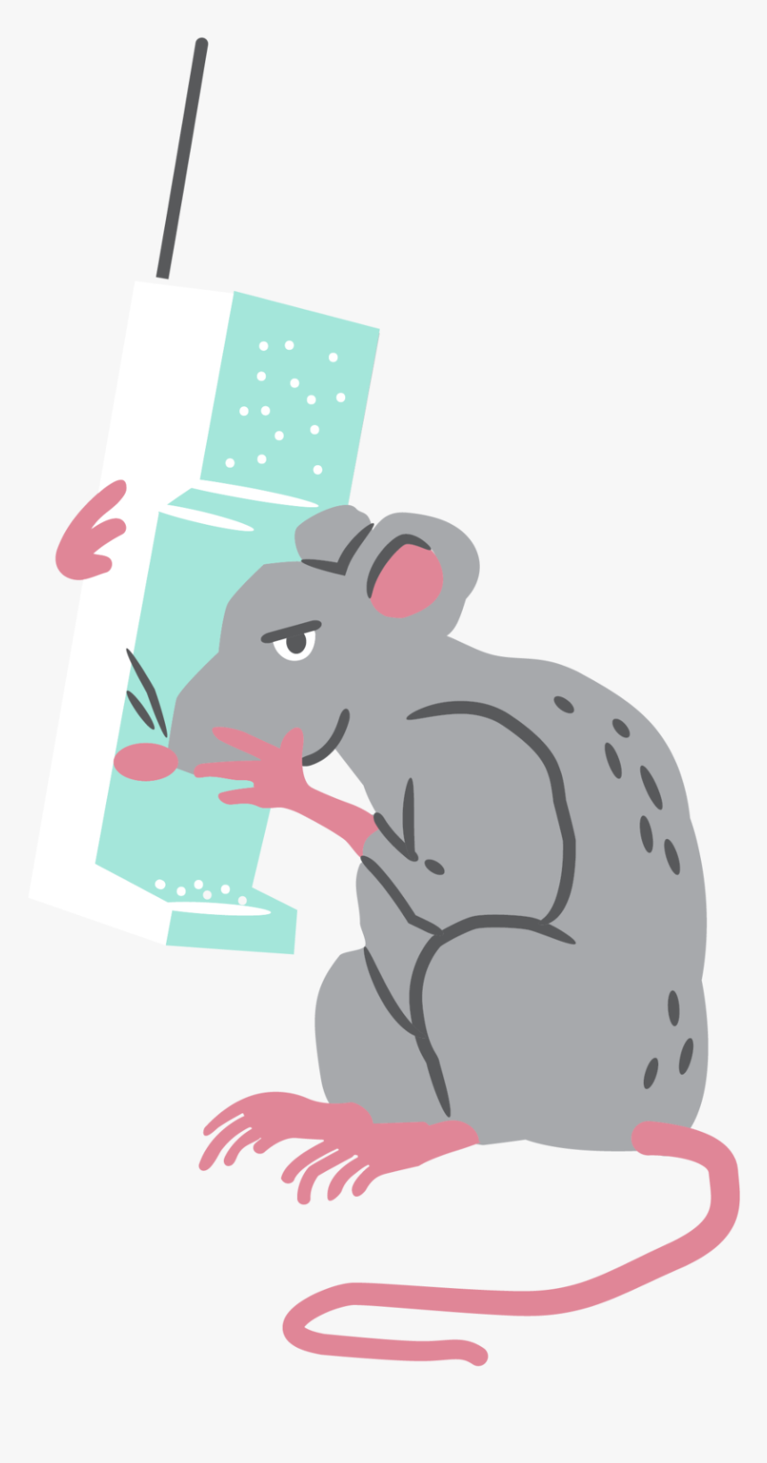Rat, HD Png Download