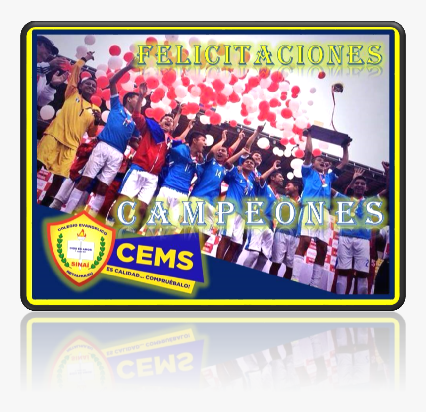 Transparent Calidad Png - Colegio Sinai, Png Download