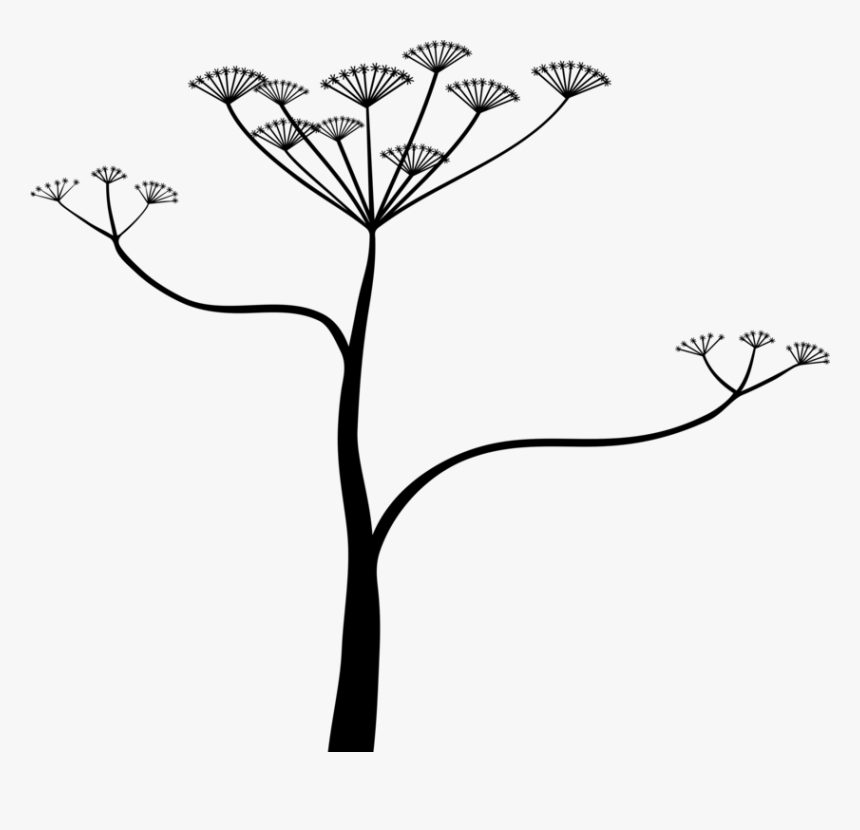 Transparent Hemlock Tree Clipart, HD Png Download