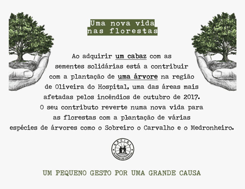 Transparent Texto Png - Adansonia, Png Download