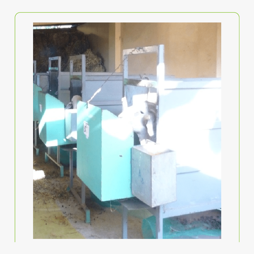 Electric Fan, HD Png Download