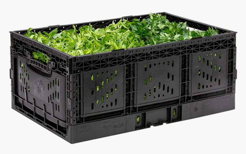 Rpc Active Lock - Houseplant, HD Png Download