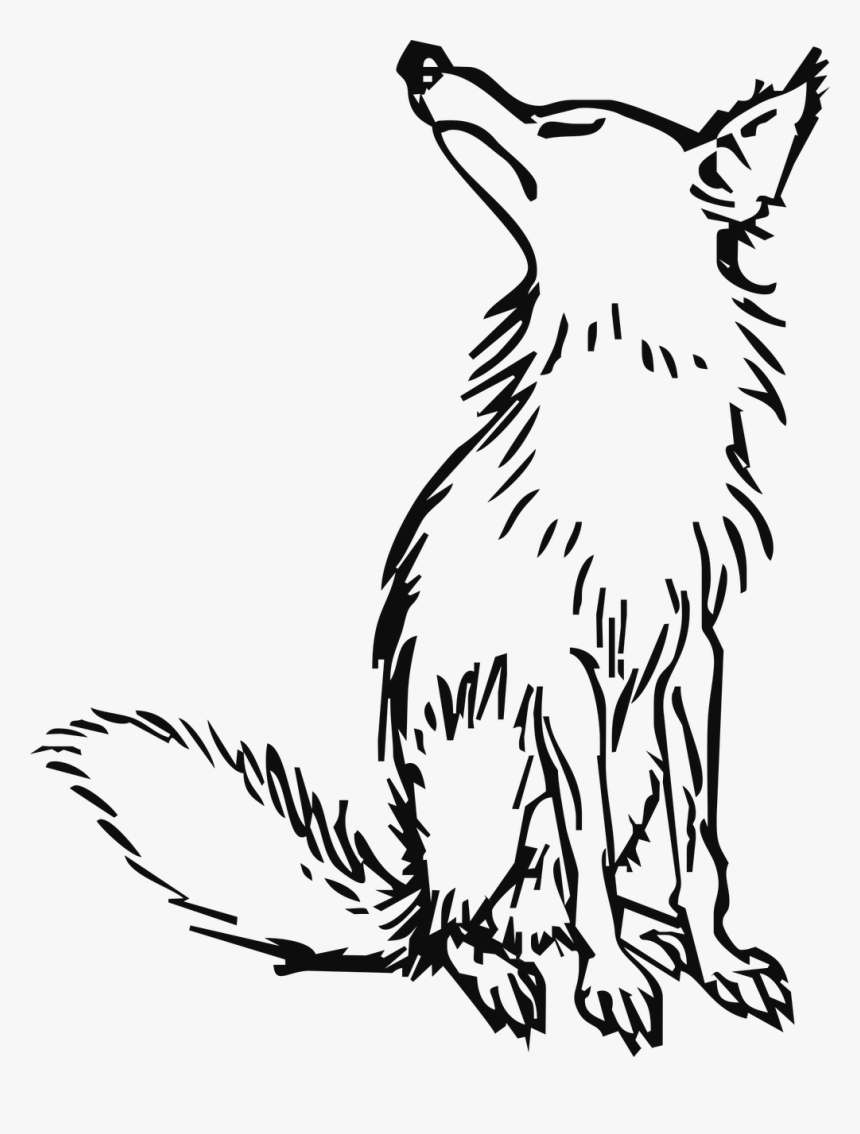 Fox And The Grapes Worksheets, HD Png Download