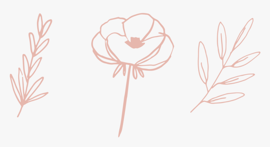 Drawing, HD Png Download