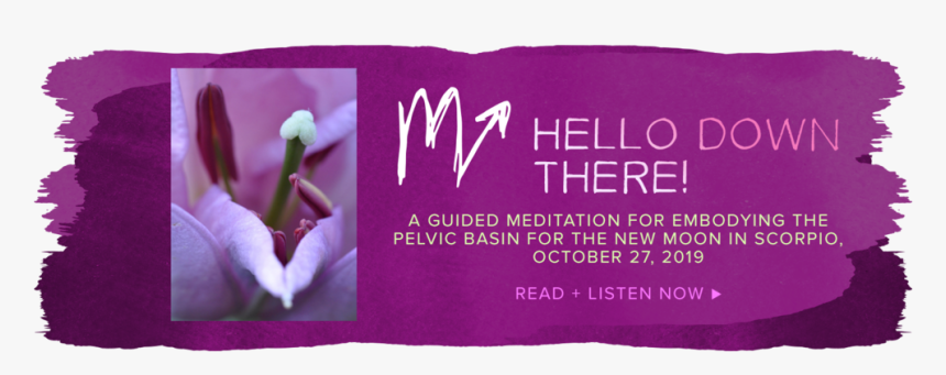 2019scorpionewmoonbanner - Lilac, HD Png Download