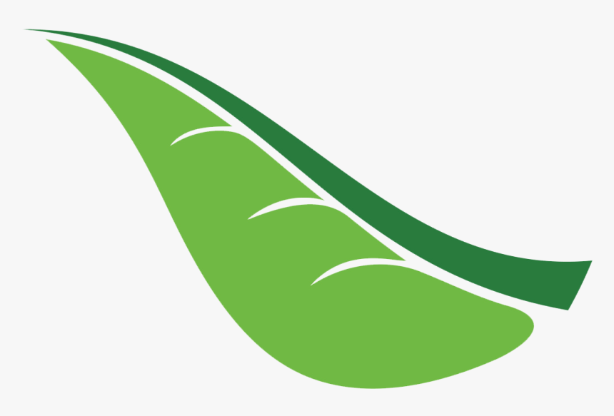 Camping Clipart Outbound Training, HD Png Download