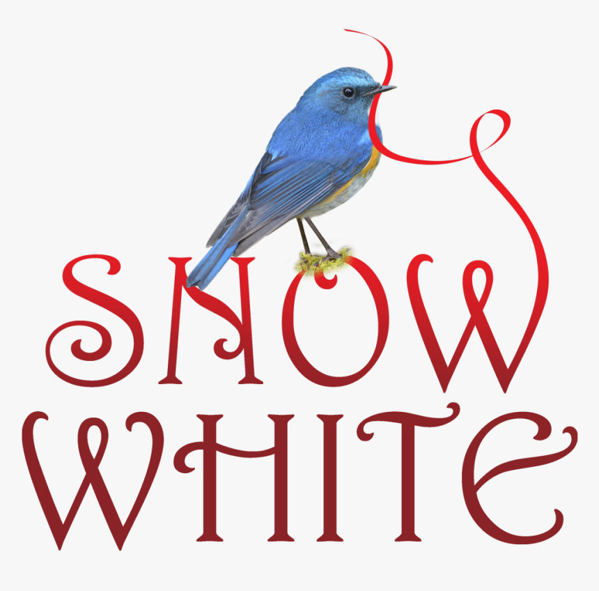 Thumb Image - Mountain Bluebird, HD Png Download
