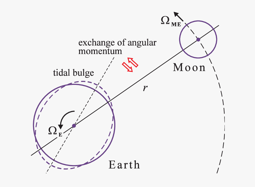 Circle, HD Png Download
