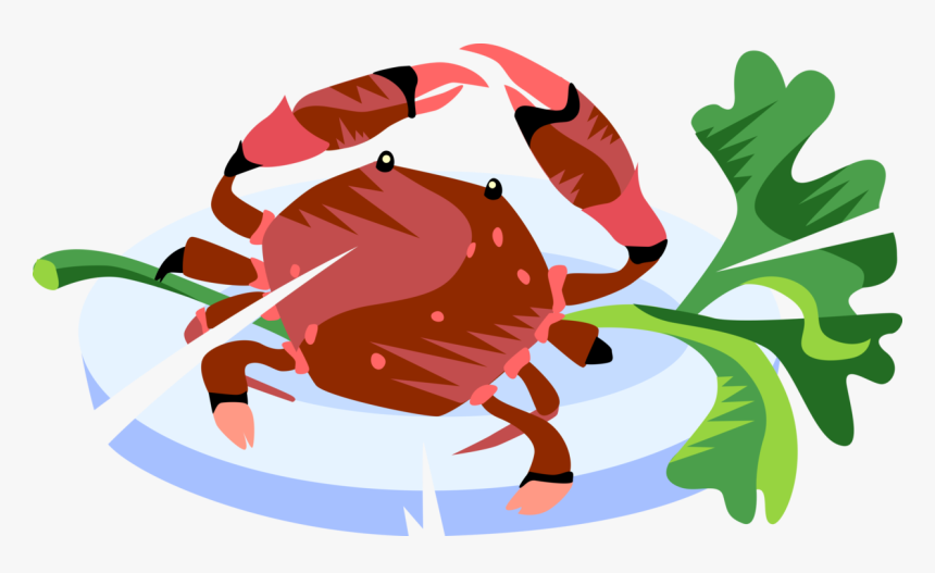 Vector Illustration Of Decapod Marine Crustacean Crab, HD Png Download
