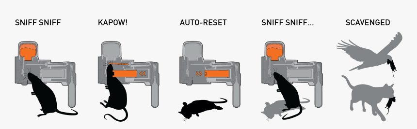 Good Nature Rat Killer, HD Png Download