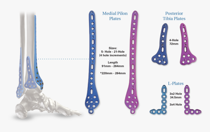 Fib-plates1 - Smile, HD Png Download