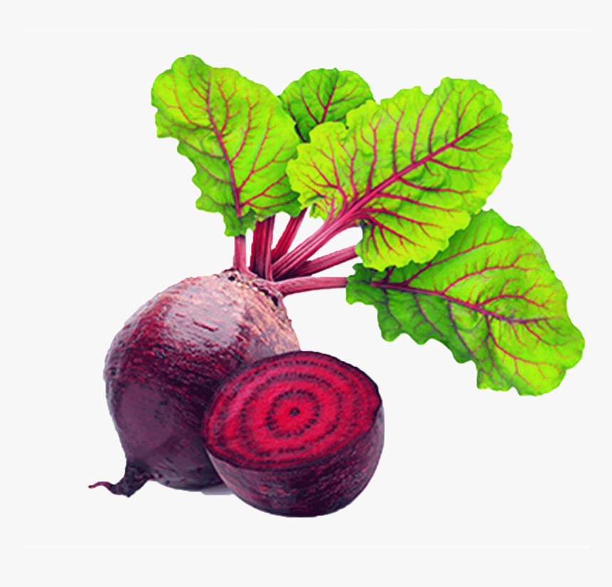 Beetroot Vegetable Clipart , Transparent Cartoons - Vegetable Beetroot Clipart, HD Png Download