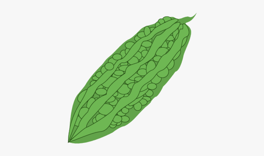 Vegetables Clipart Ampalaya - Ampalaya Clipart, HD Png Download
