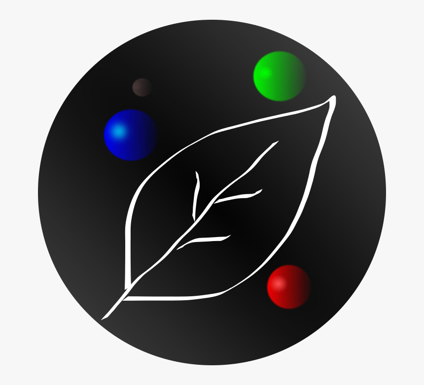 Circle, HD Png Download