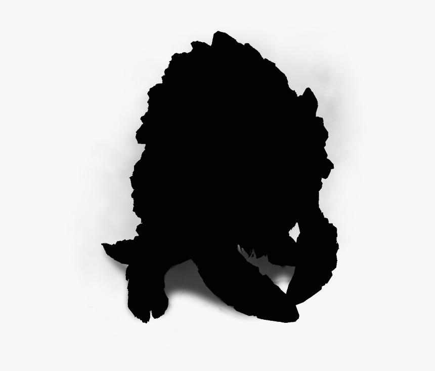 Witcher Wiki - Fish, HD Png Download