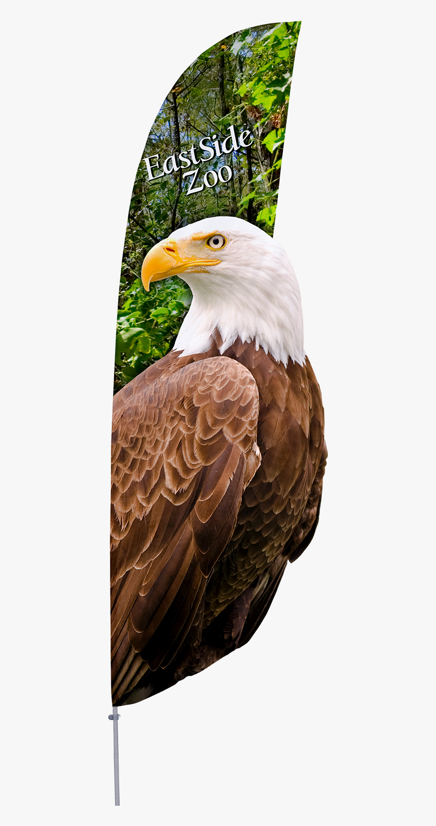 Mexico Flag Eagle Png, Transparent Png