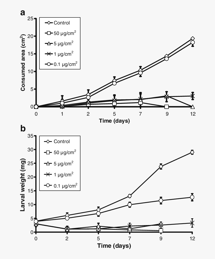 Diagram, HD Png Download