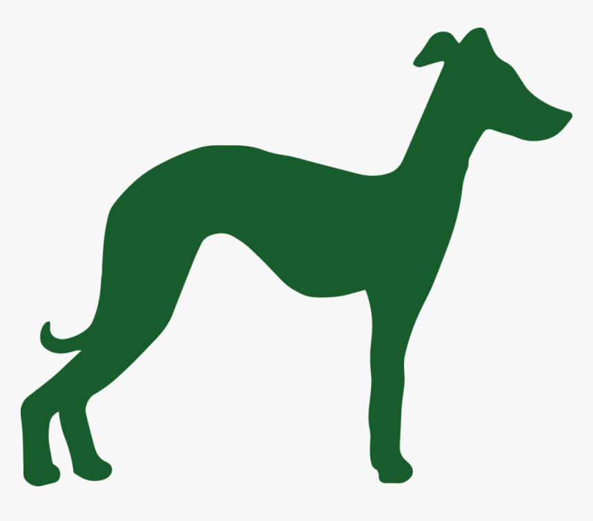 Companion Dog, HD Png Download