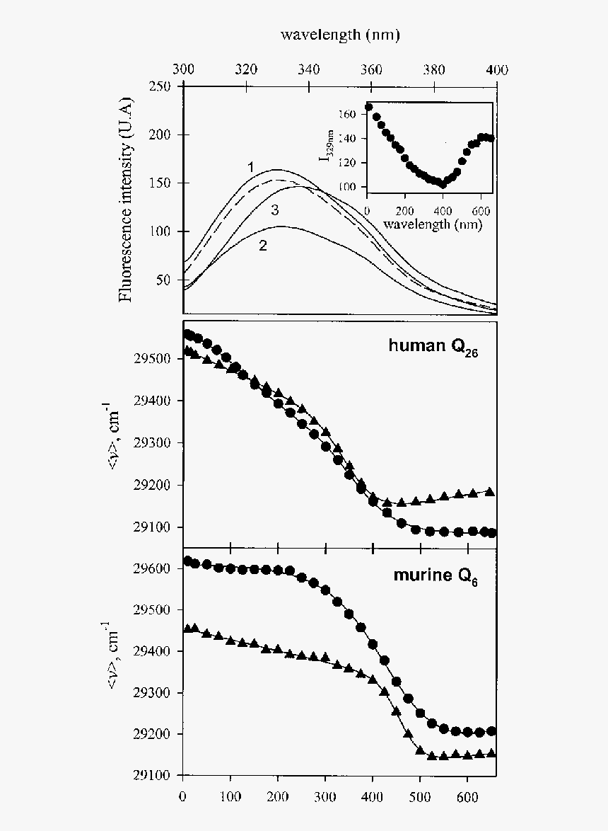 Diagram, HD Png Download