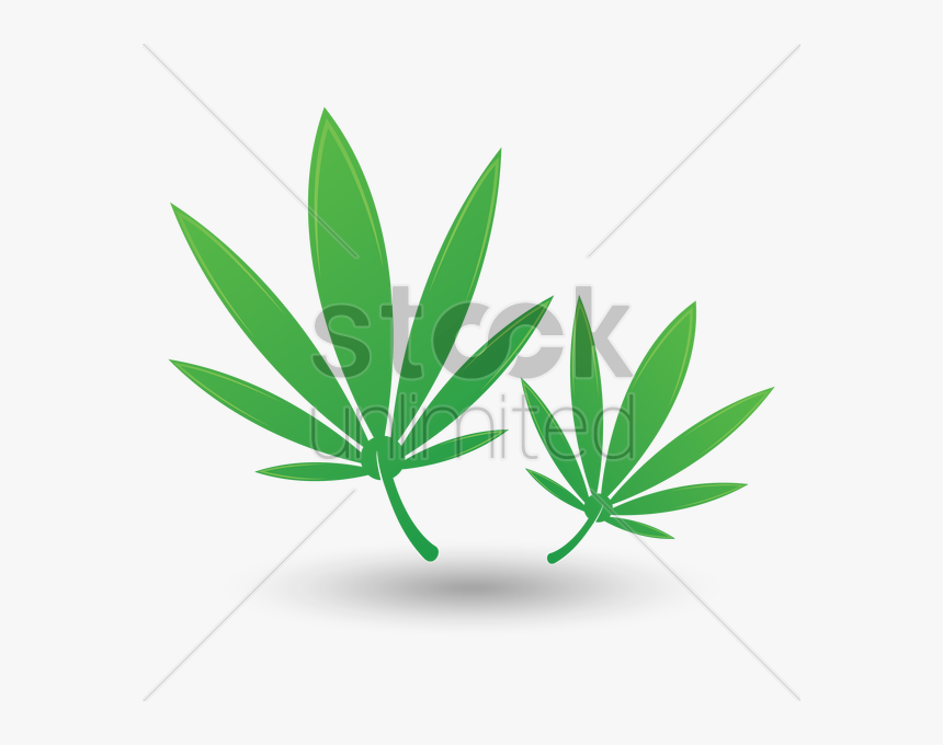 Leaf Clipart , Png Download - Illustration, Transparent Png