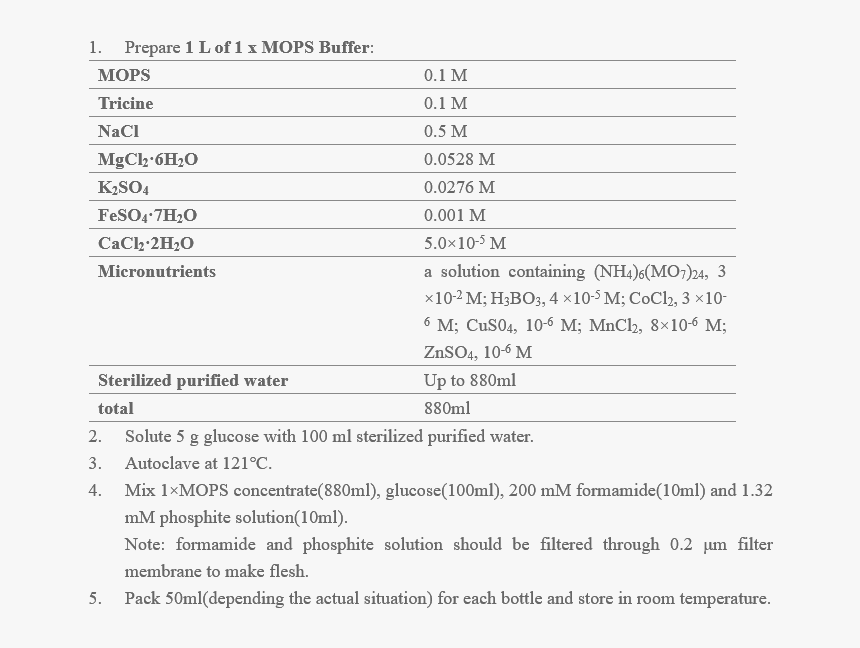 Document, HD Png Download