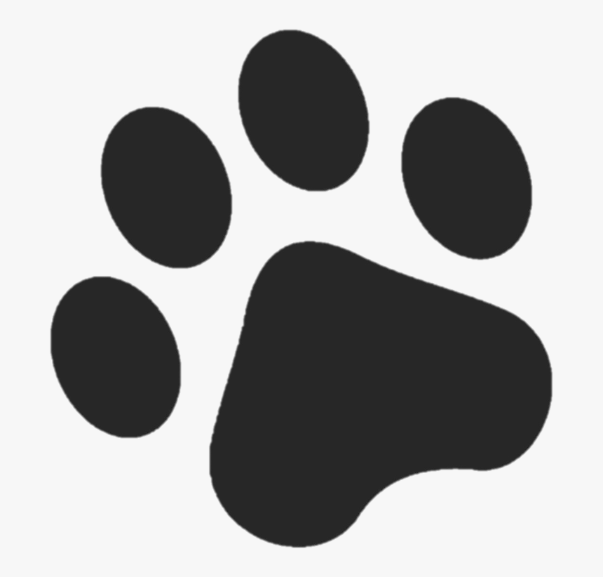 Playeras Paw Patrol Para Fiesta, HD Png Download