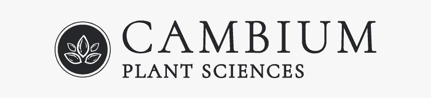 Cambium Logo - Graphics, HD Png Download