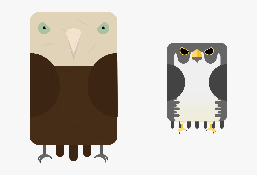 Owl, HD Png Download